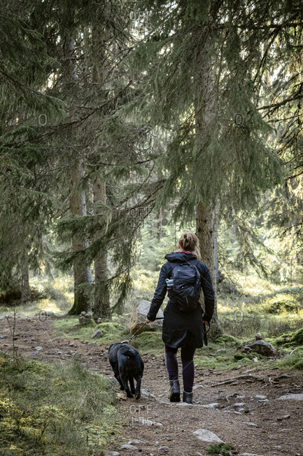 Rear view of woman walking with dog through forest