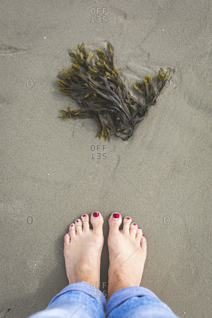 subtraktion Slutning Bliv forvirret sand feet stock photos - OFFSET