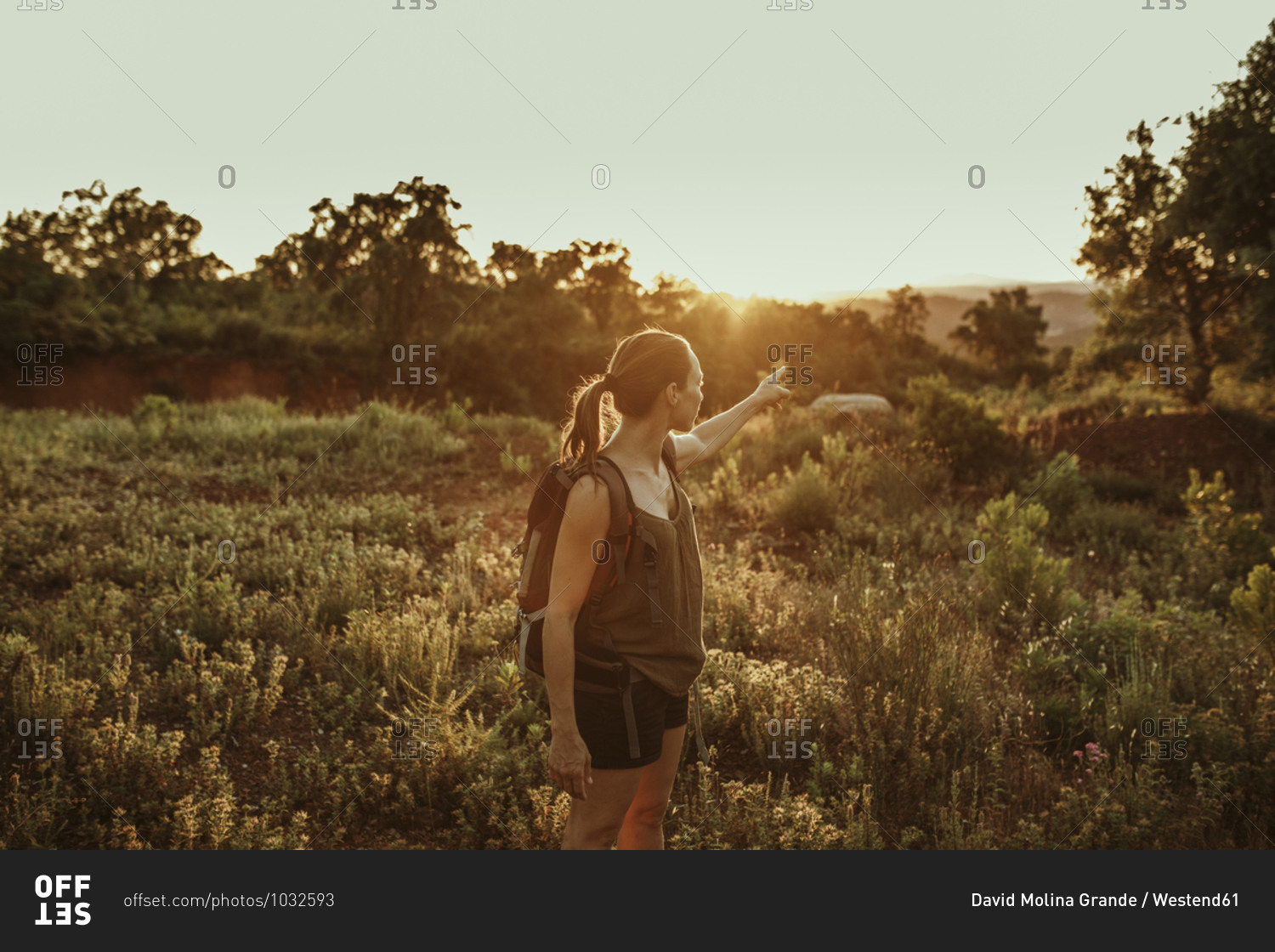 Woman pointing towards sunset while standing in forest