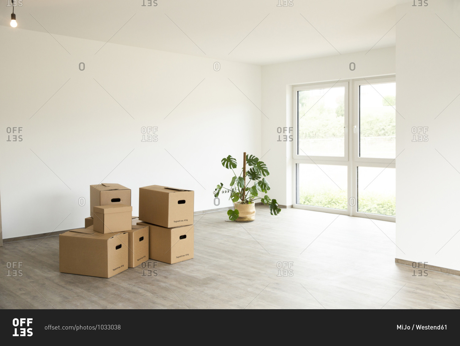 Cardboard boxes with monstera deliciosa on floor against white wall in new house