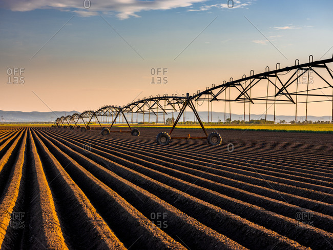 Irrigation system in agricultural field during sunset