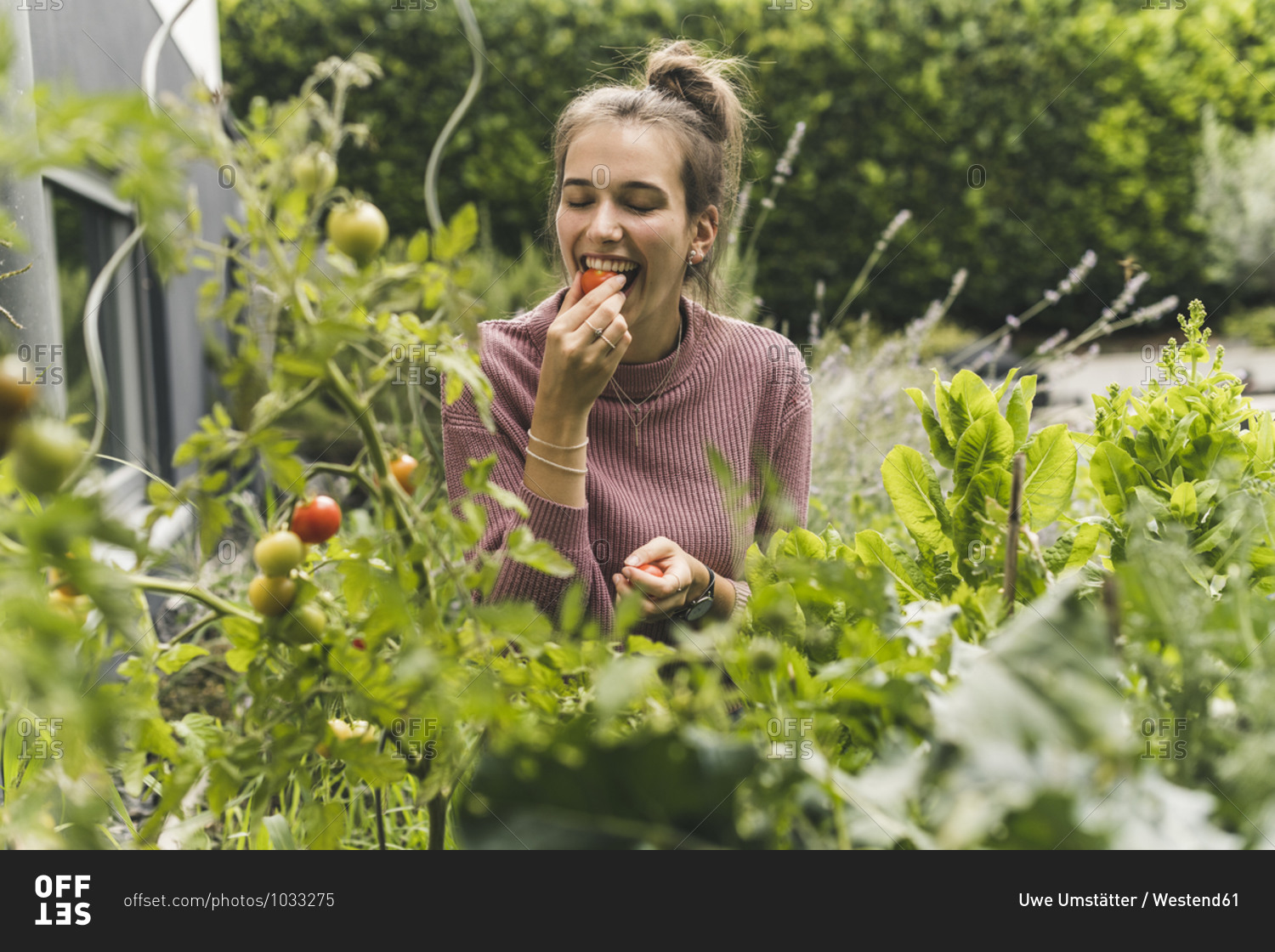 Happy young woman eating cherry tomato amidst plants in community garden