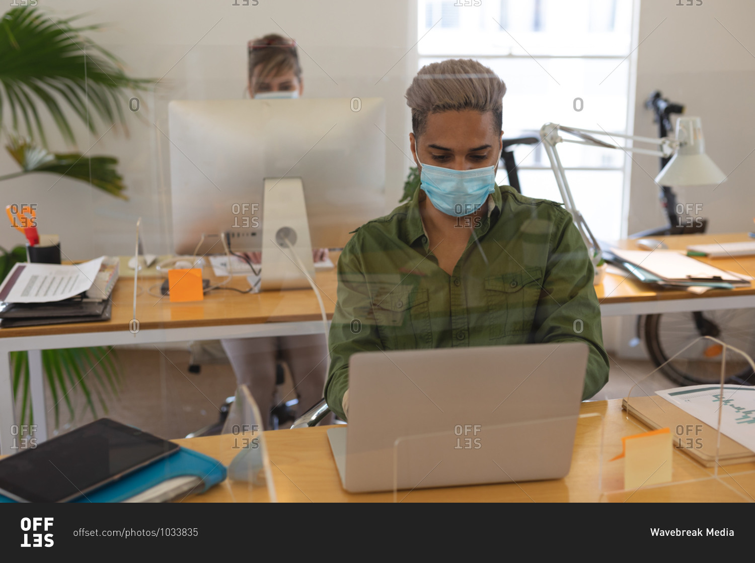 Multi ethnic group of male and female creatives working at office desks with protective screens, using computers. Health and hygiene in workplace during Coronavirus Covid 19 pandemic.