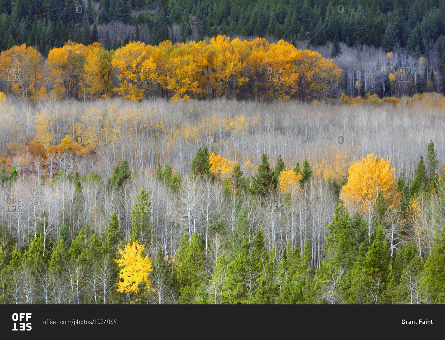 Fall colors in the Chilcotin Region of British Columbia, Canada