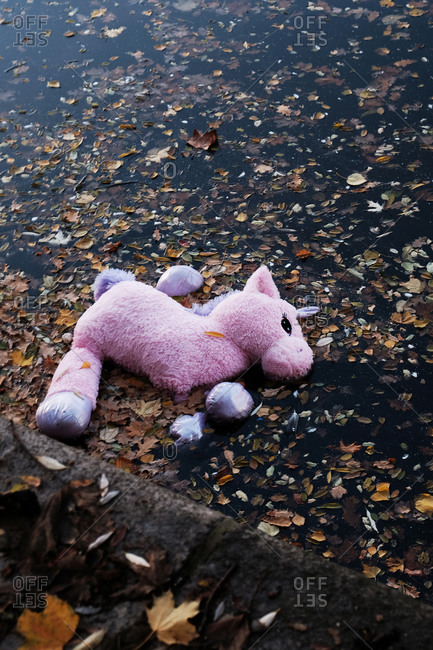 Pink stuffed unicorn floating among leaves in a pond