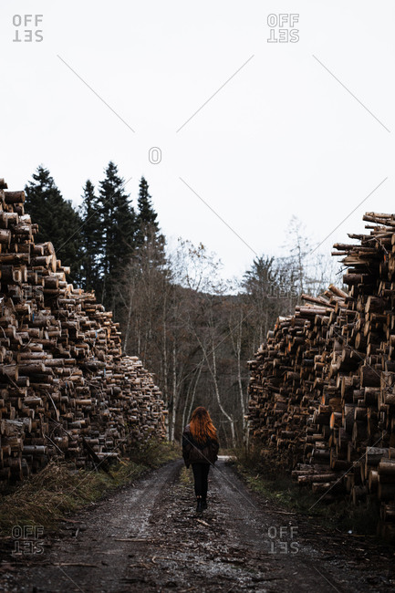 Back view of unrecognizable female in warm wear walking on wet dirt path between stacked wooden logs in autumn countryside in gloomy cloudy day