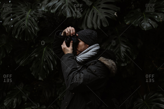 Side view of unrecognizable photographer standing in glasshouse and taking picture of exotic plant in Scottish Highlands