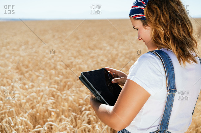 Side view of positive focused female farmer in overalls standing in wheat field in countryside and browsing tablet