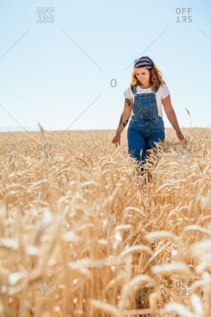 Carefree female in denim overalls walking along wheat agricultural field and admiring amazing rural landscape in summer