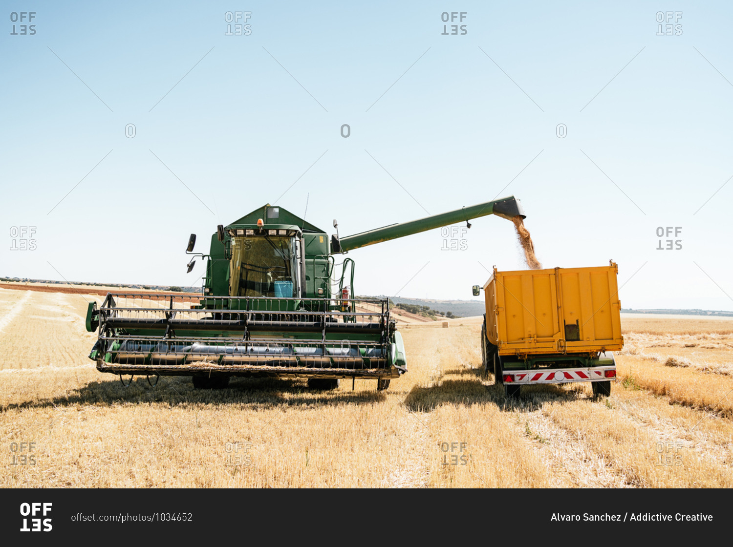Huge combine harvester collecting and pouring wheat grain in trailer placed on farm in summer