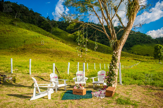 Cozy blanket and wooden chairs arranged under tall tree on meadow for picnic in summer