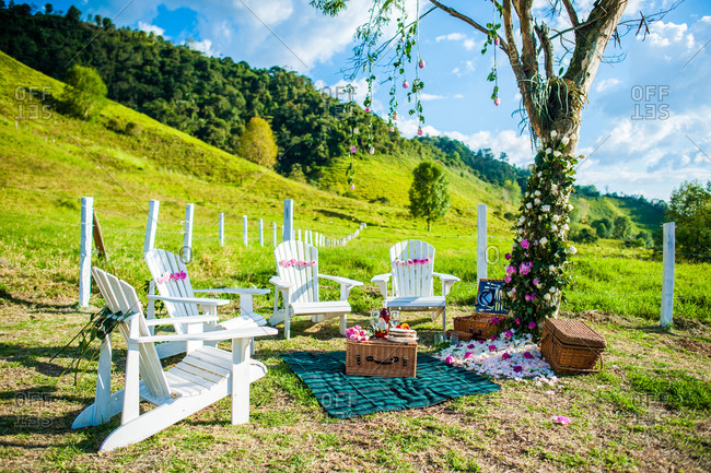 Cozy blanket and wooden chairs arranged under tall tree on meadow for picnic in summer