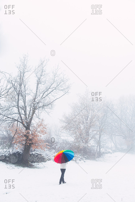 Back view of anonymous person under colorful umbrella walking along forest in winter park on snowy day in Pyrenees