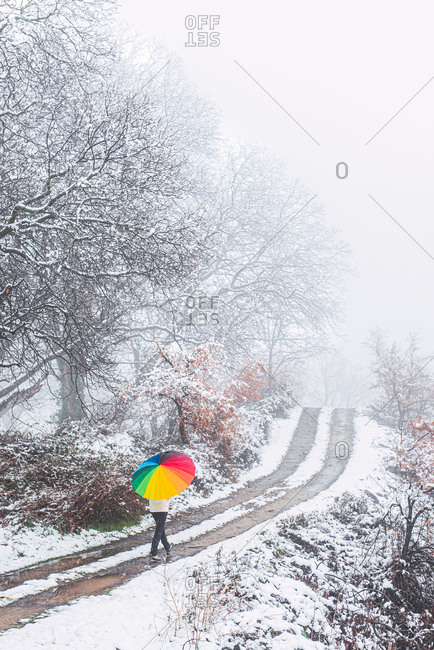 Back view of anonymous person under colorful umbrella walking along road in winter park on snowy day in Pyrenees