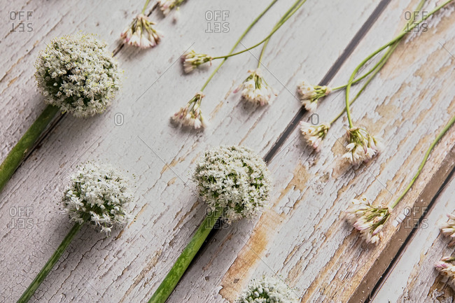 Top view of various white wildflowers arranged on shabby wooden table at home