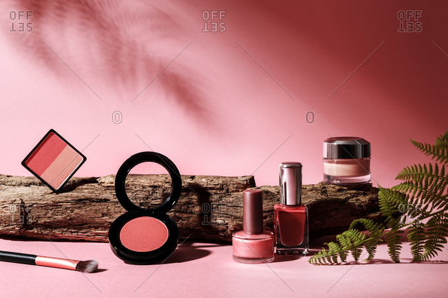 Composition of assorted decorative cosmetic products placed on pink background with fern leaf and wooden branch