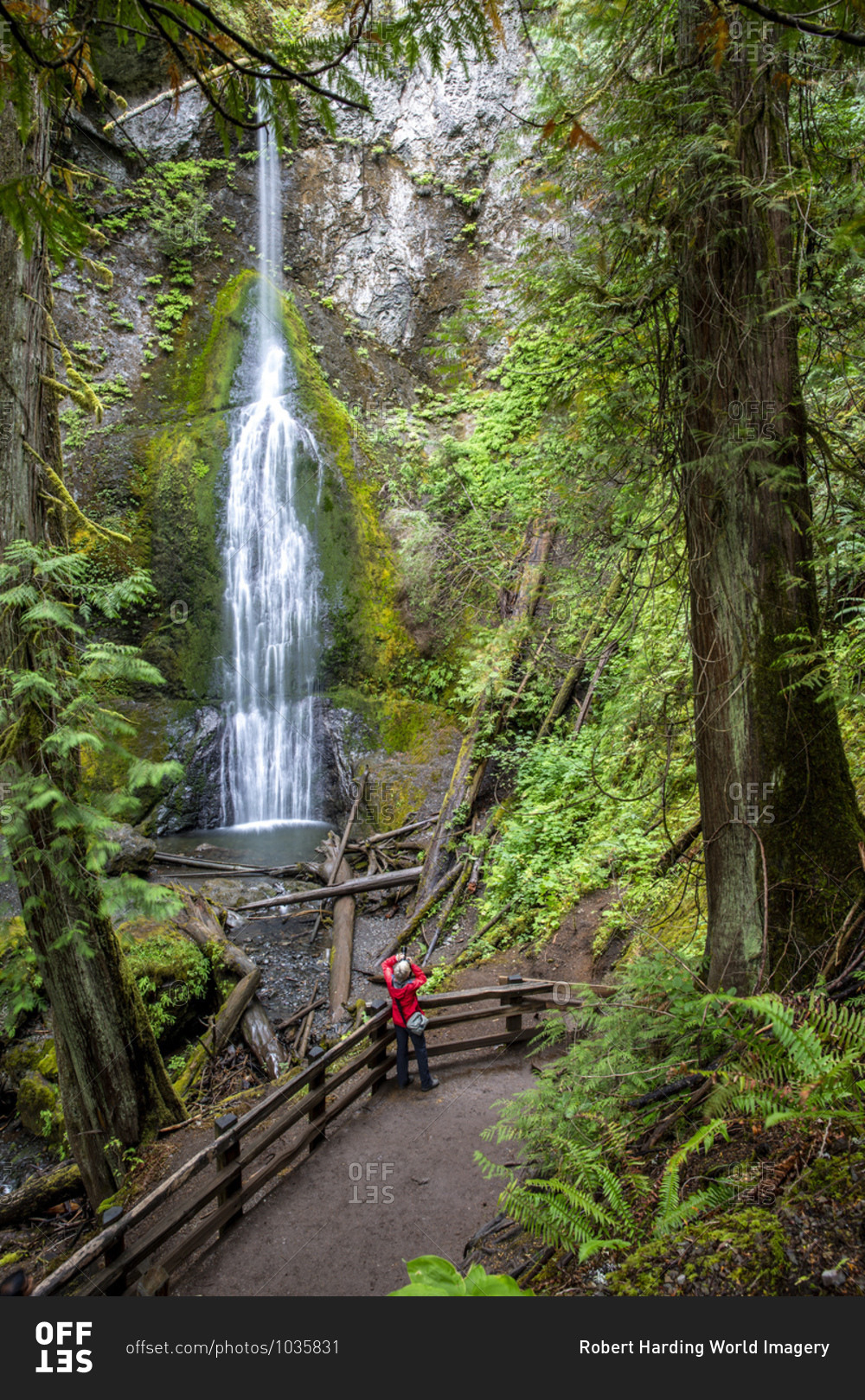 Waterfall on the Marymere Falls Trail, Quinault Rain Forest, Olympic National Park, UNESCO World Heritage Site, Washington State, United States of America, North America