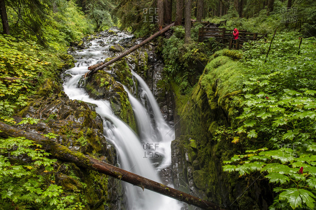Photographer on the Sol Duc Falls Trail, Sol Duc Valley, Olympic National Park, UNESCO World Heritage Site, Washington State, United States of America, North America