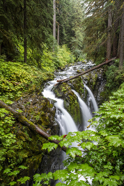 Waterfall on the Sol Duc Falls Trail, Sol Duc Valley, Olympic National Park, UNESCO World Heritage Site, Washington State, United States of America, North America
