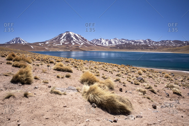 Laguna Miscanti, a brackish lake at an altitude of 4140 meters in the Andean Central Volcanic Zone, Chile, South America