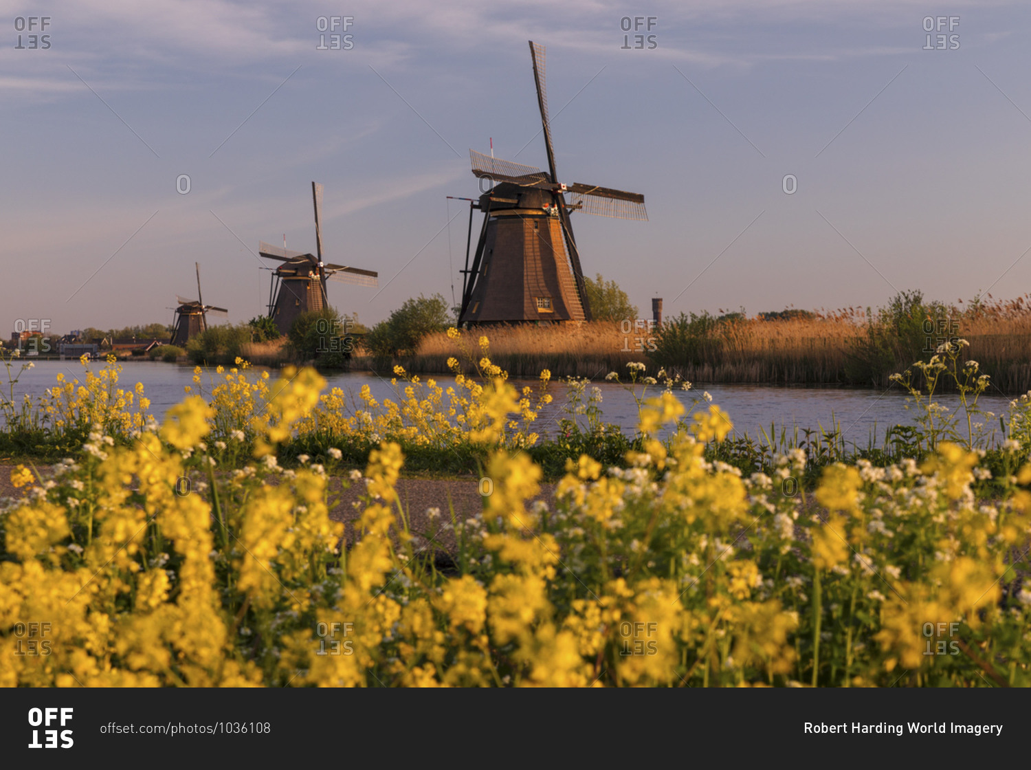 Windmills at sunrise, Kinderdijk, UNESCO World Heritage Site, South Holland, Netherlands, Europe