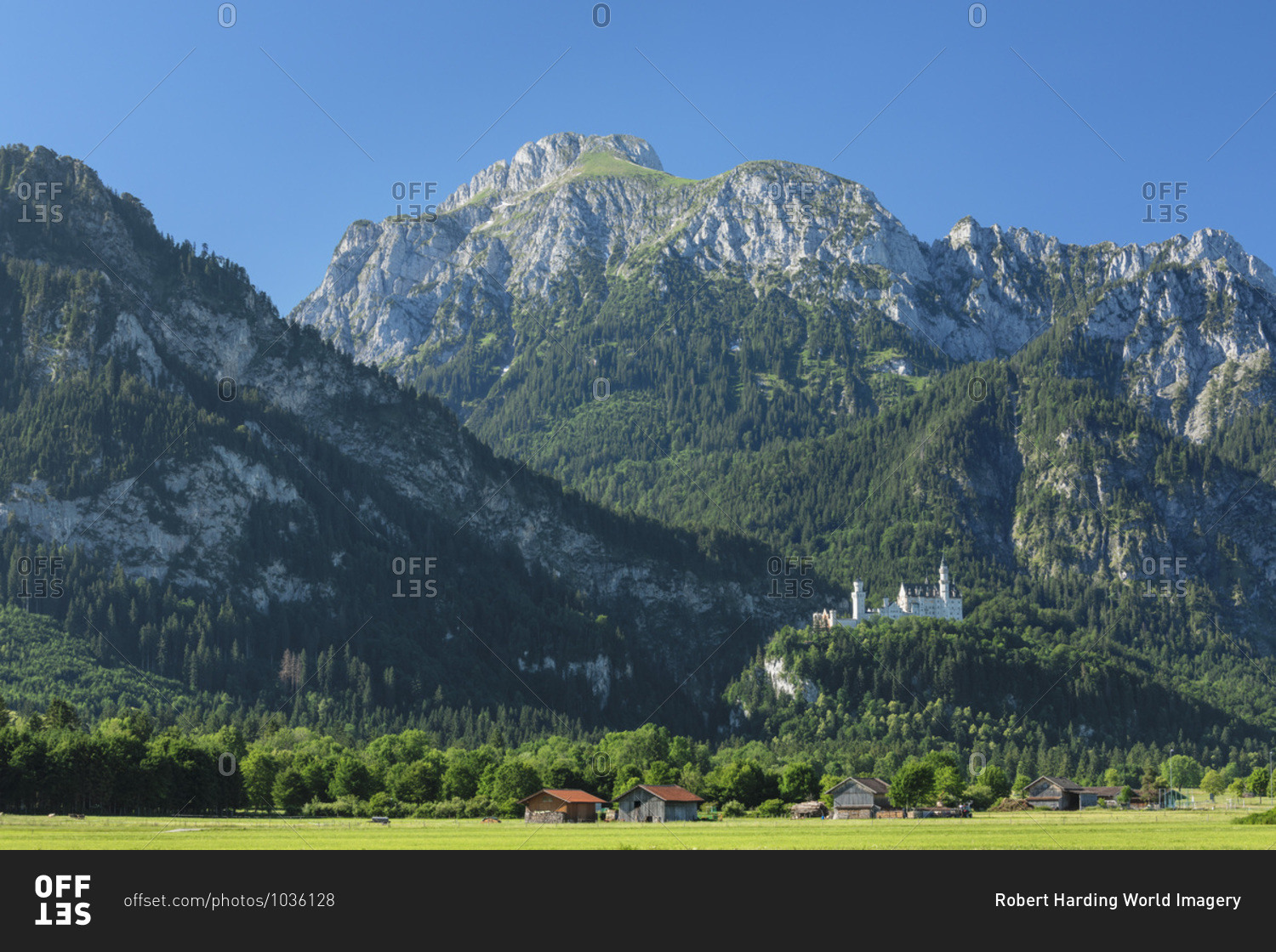 Neuschwanstein Castle and Lechtaler Alps, Schwangau, Allgau, Schwaben, Bavaria, Germany, Europe