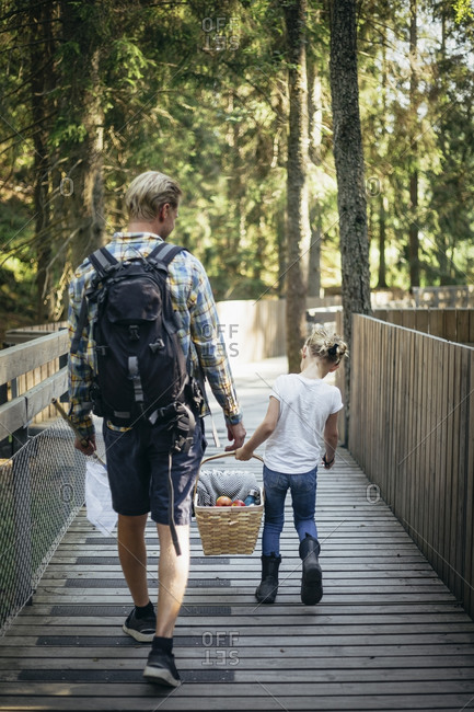 Rear view of father and daughter holding picnic basket while walking on footbridge in forest