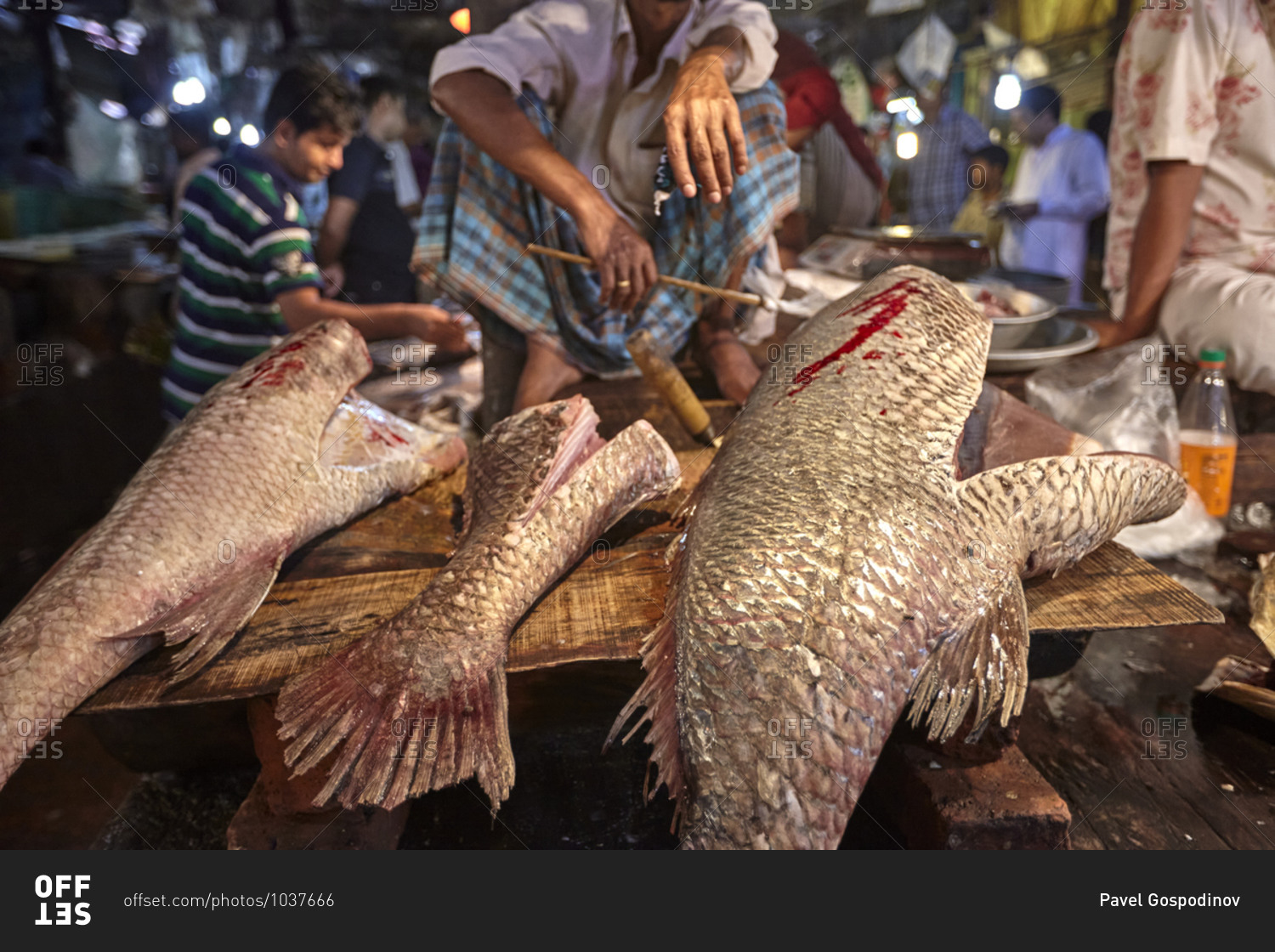 Man selling fresh fish at the Chittagong Asadganj Fish Market, Bangladesh