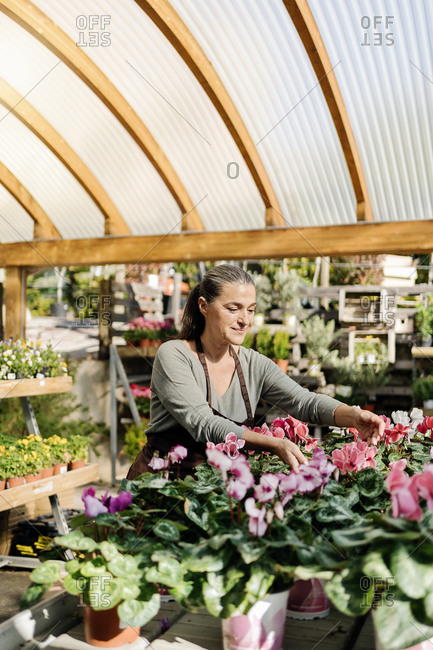 Beautiful middle aged woman working in plant nursery.