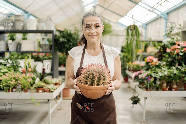 Beautiful middle aged woman working in plant nursery holding a cactus.