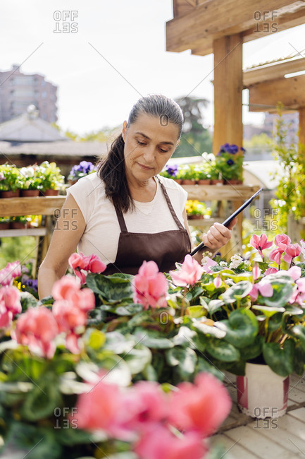 Beautiful middle aged woman working in plant nursery and using tablet.