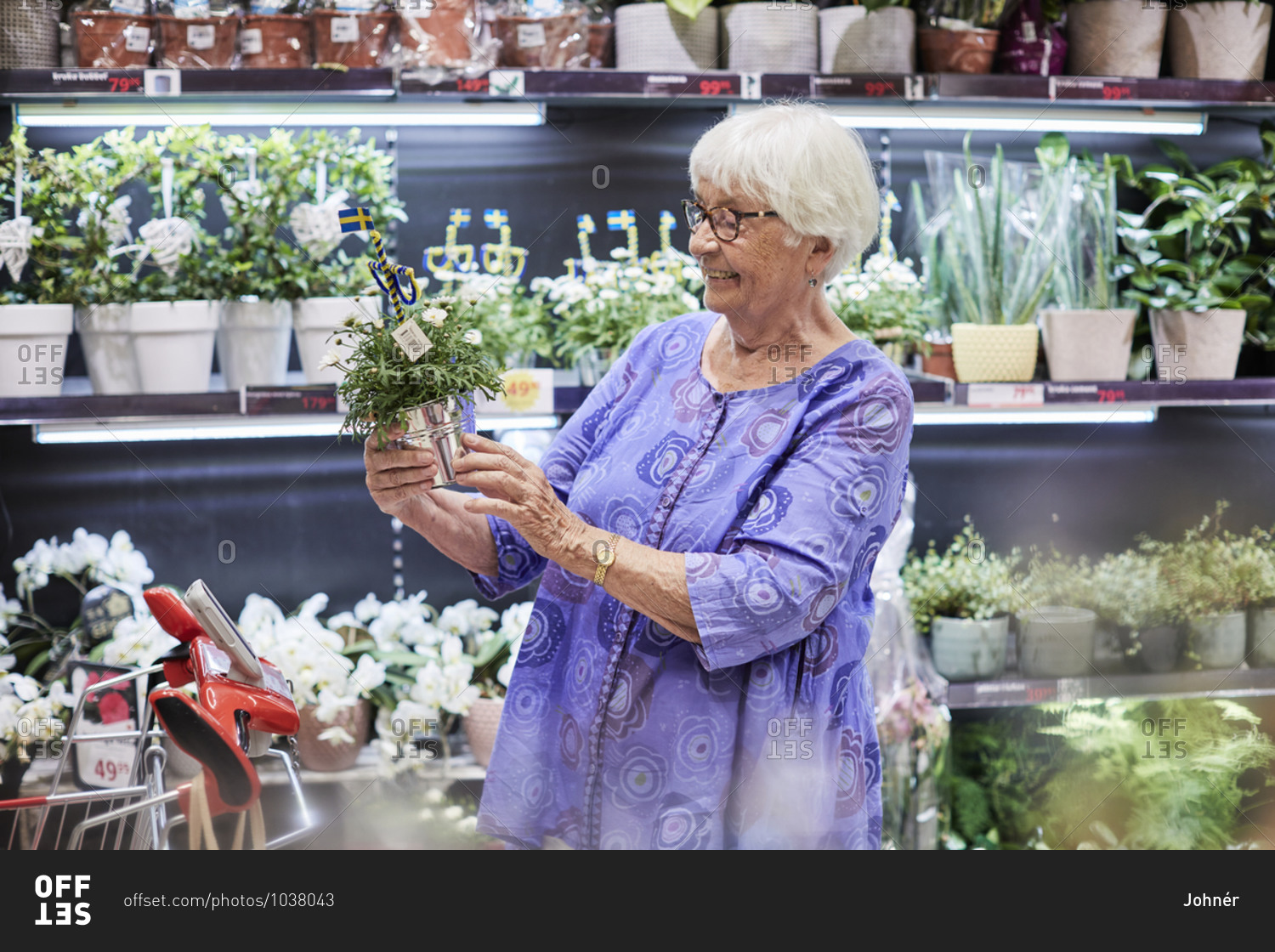 Woman choosing potted plants in shop