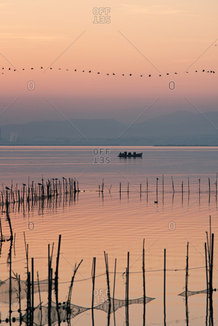 Boat and line of birds at Valencia\'s Albufera sunset against the light