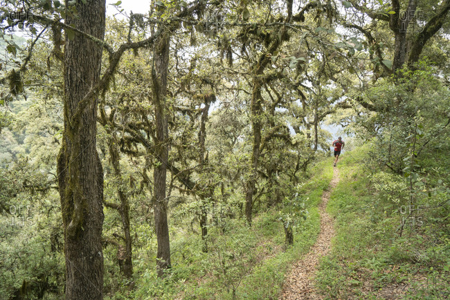 One man running on a trail in the mountains of Zacatlan