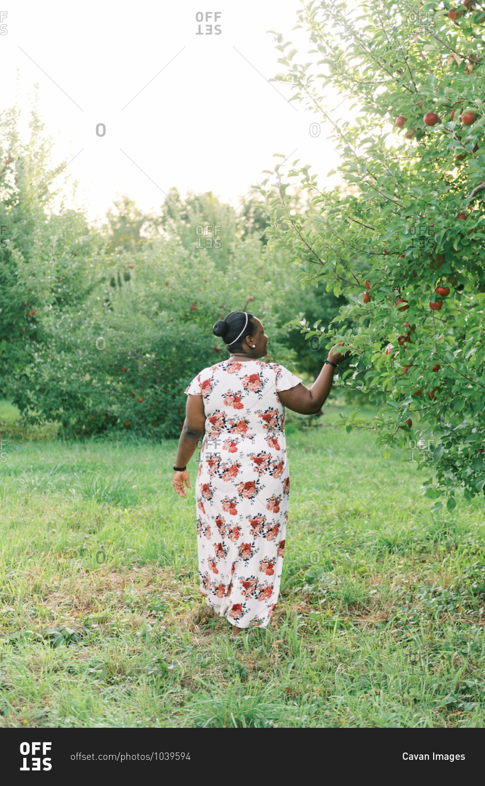 Portrait of a happy beautiful woman walking by apple trees