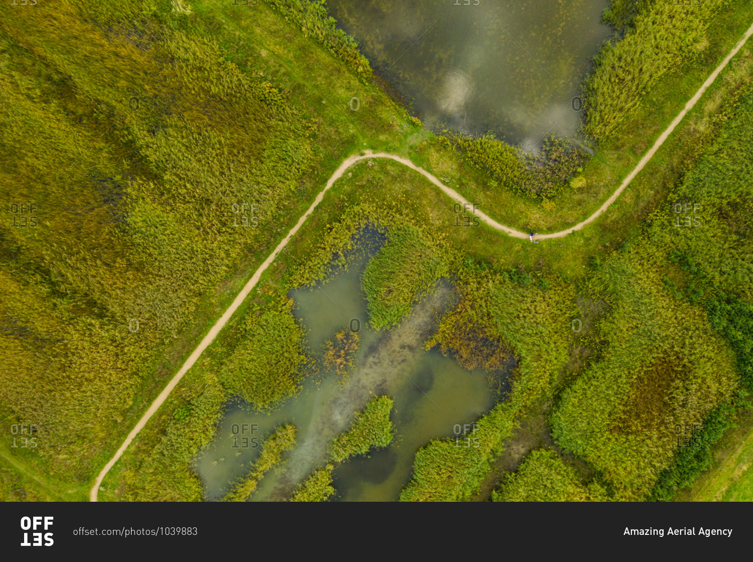 Aerial view of marshlands on the outskirts of Amsterdam, The Netherlands.