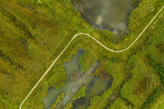 grass wetland aerial