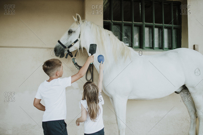 Siblings brushing white horse while standing by wall