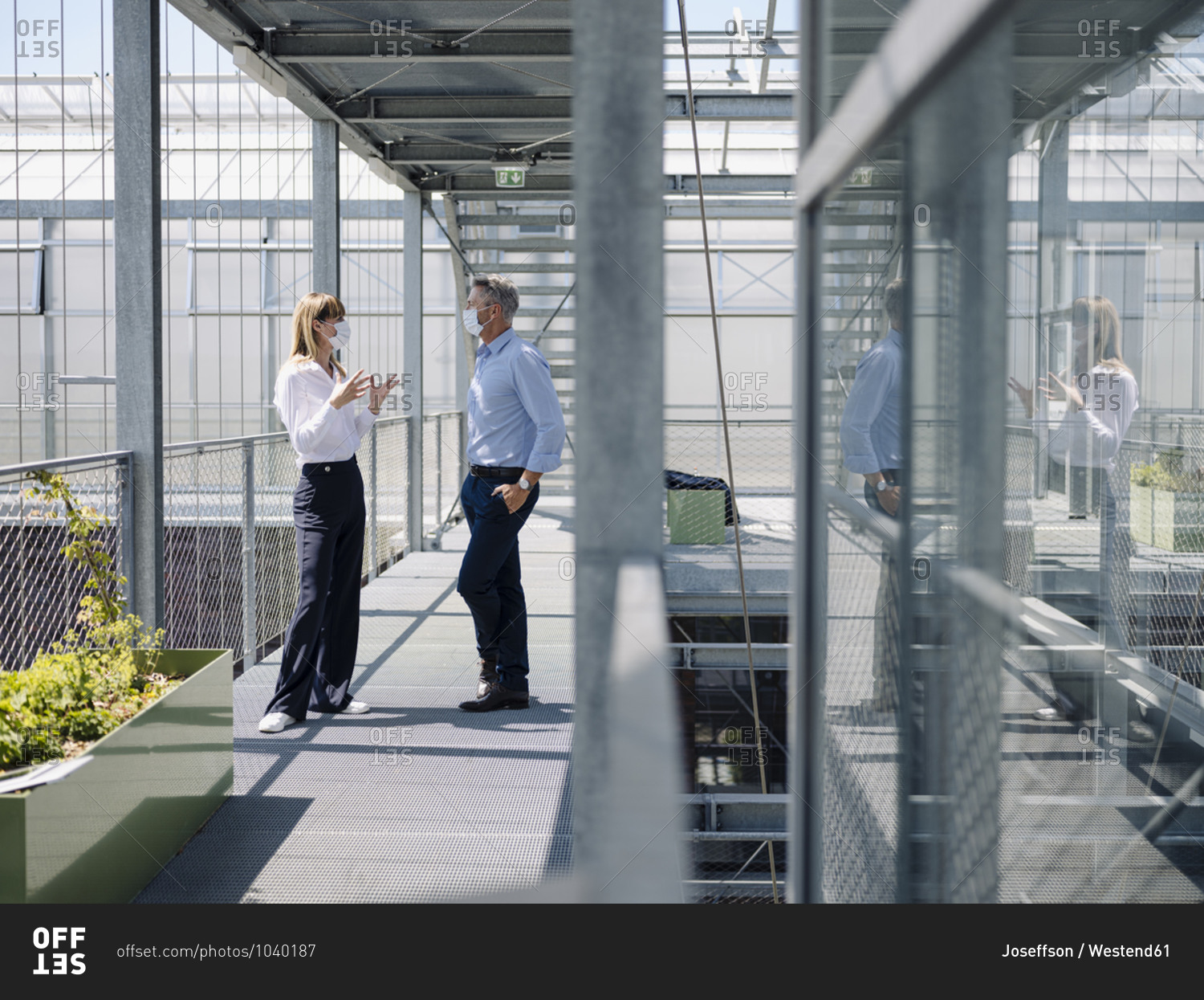 Colleagues wearing masks discussing while standing on footbridge in greenhouse