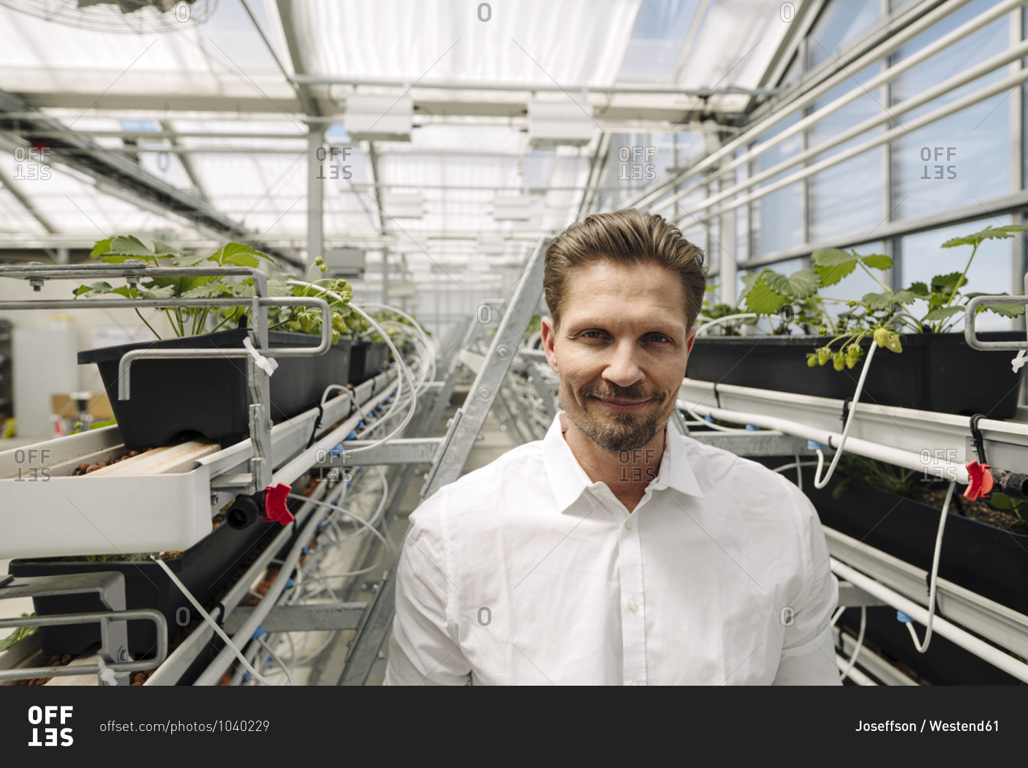 Smiling male entrepreneur standing amidst plants growing in greenhouse