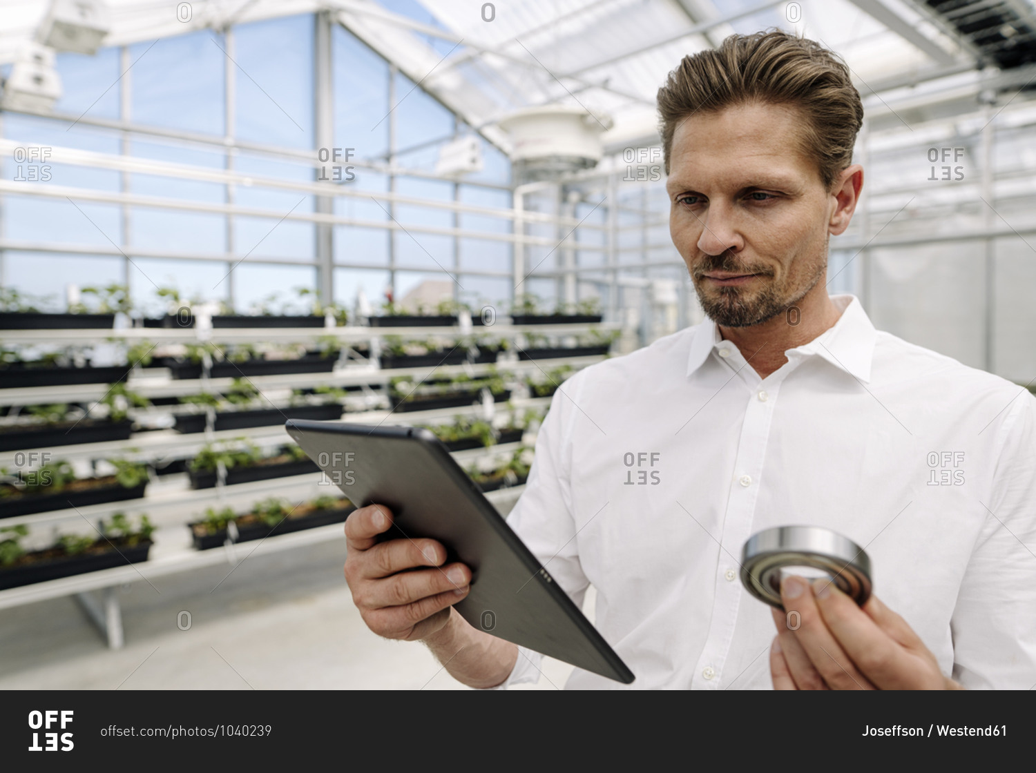 Close-up of businessman holding work tool using digital tablet in greenhouse