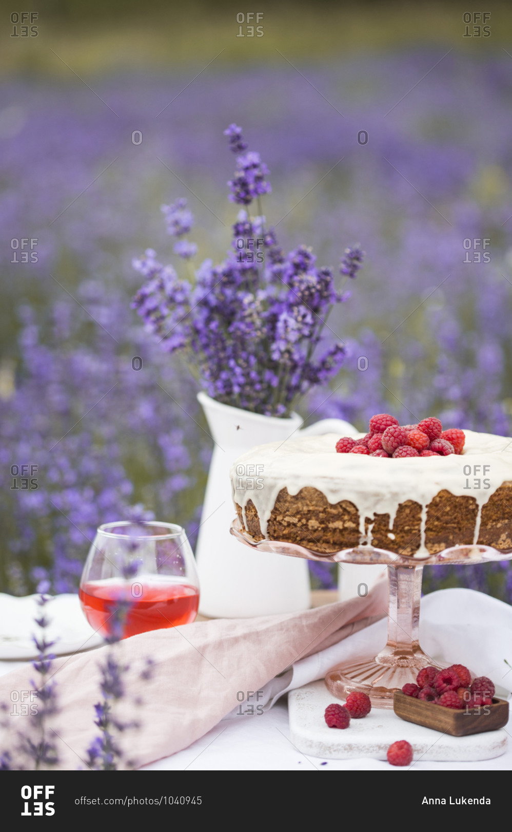 Carrot cake with raspberries on the table in a lavender field