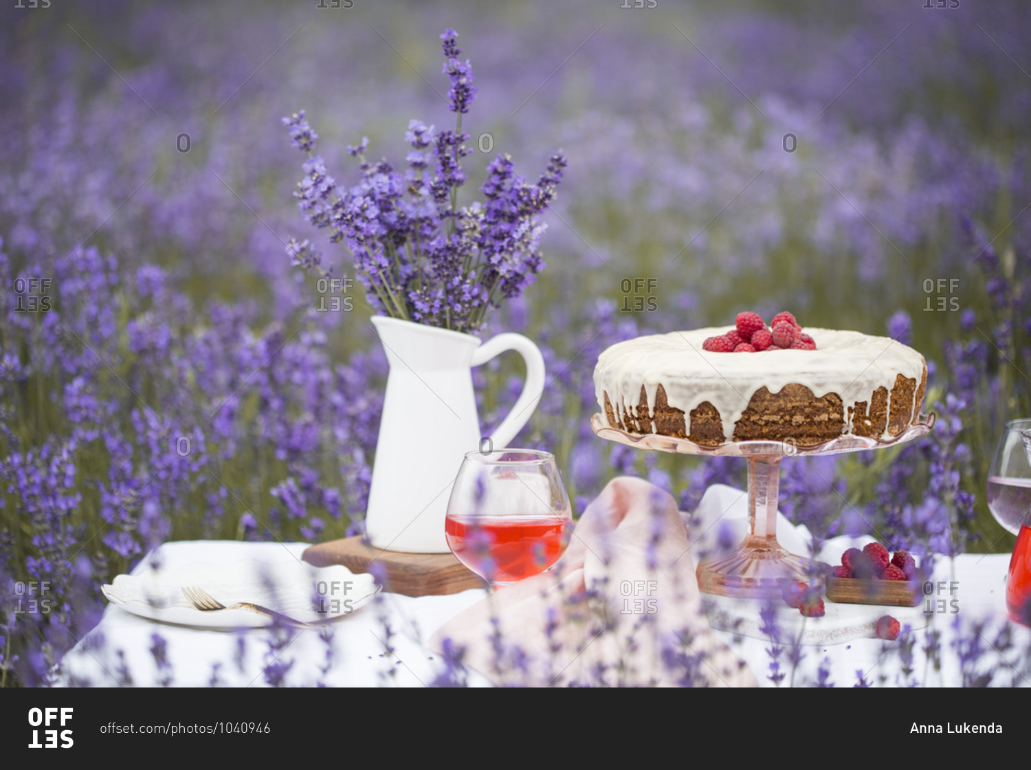 Fresh baked carrot cake with raspberries on the table in a lavender field