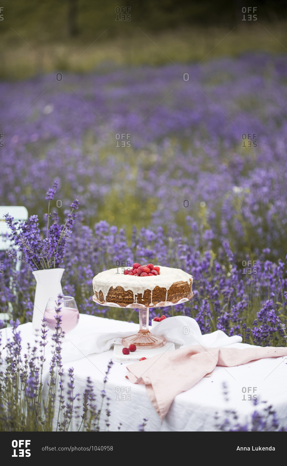 Raspberry topped carrot cake on the table with rose juice in a lavender field