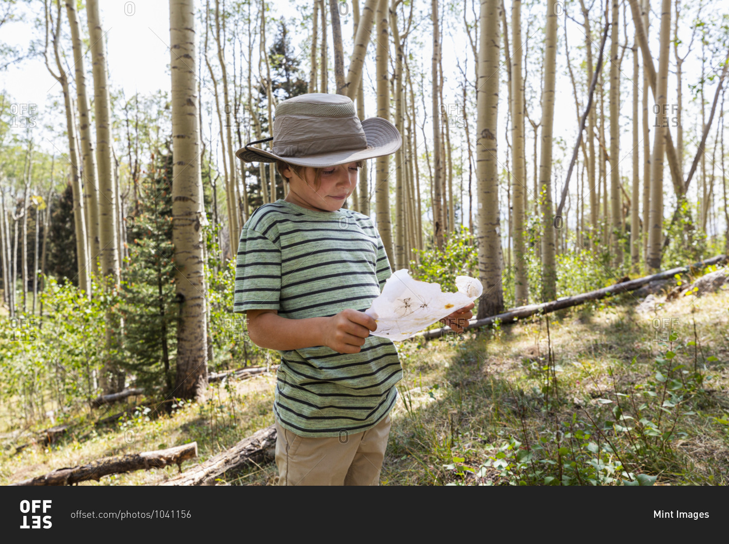 7 year old boy holding treasure map in forest of Aspen trees