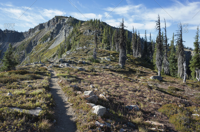 Hiking trail through vast alpine wilderness, along the Pacific Crest Trail