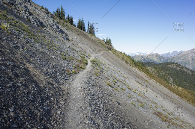 A steep hillside and forest on the Pacific Crest Trail