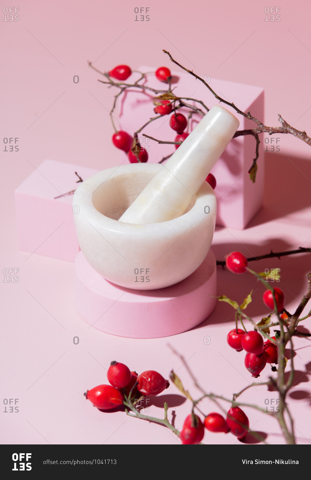 Mortar and pestle with rosehips on pink background