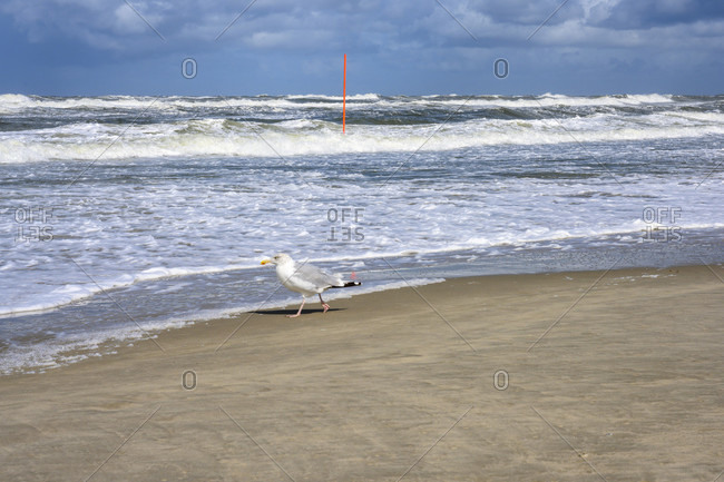 Germany, Lower Saxony, East Frisia, Juist, stormy weather on the beach.