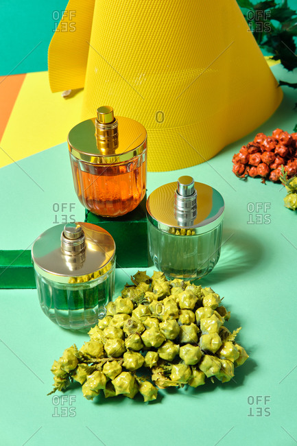 High angle of shiny glass bottles of handmade luxury perfume arranged on table with sprigs of thuja
